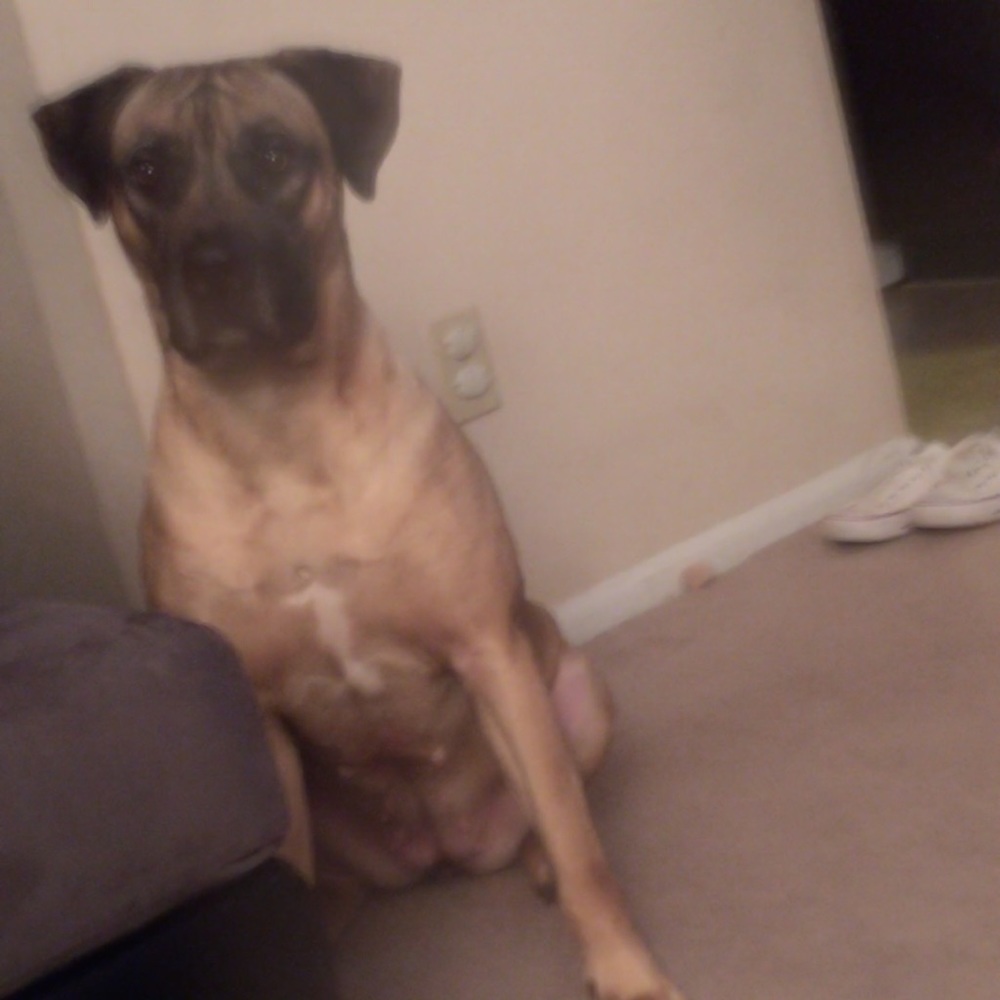 Meet your Posher, Quincy